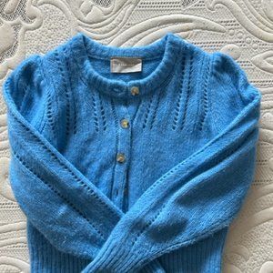 Everlane Cardigan Sweater